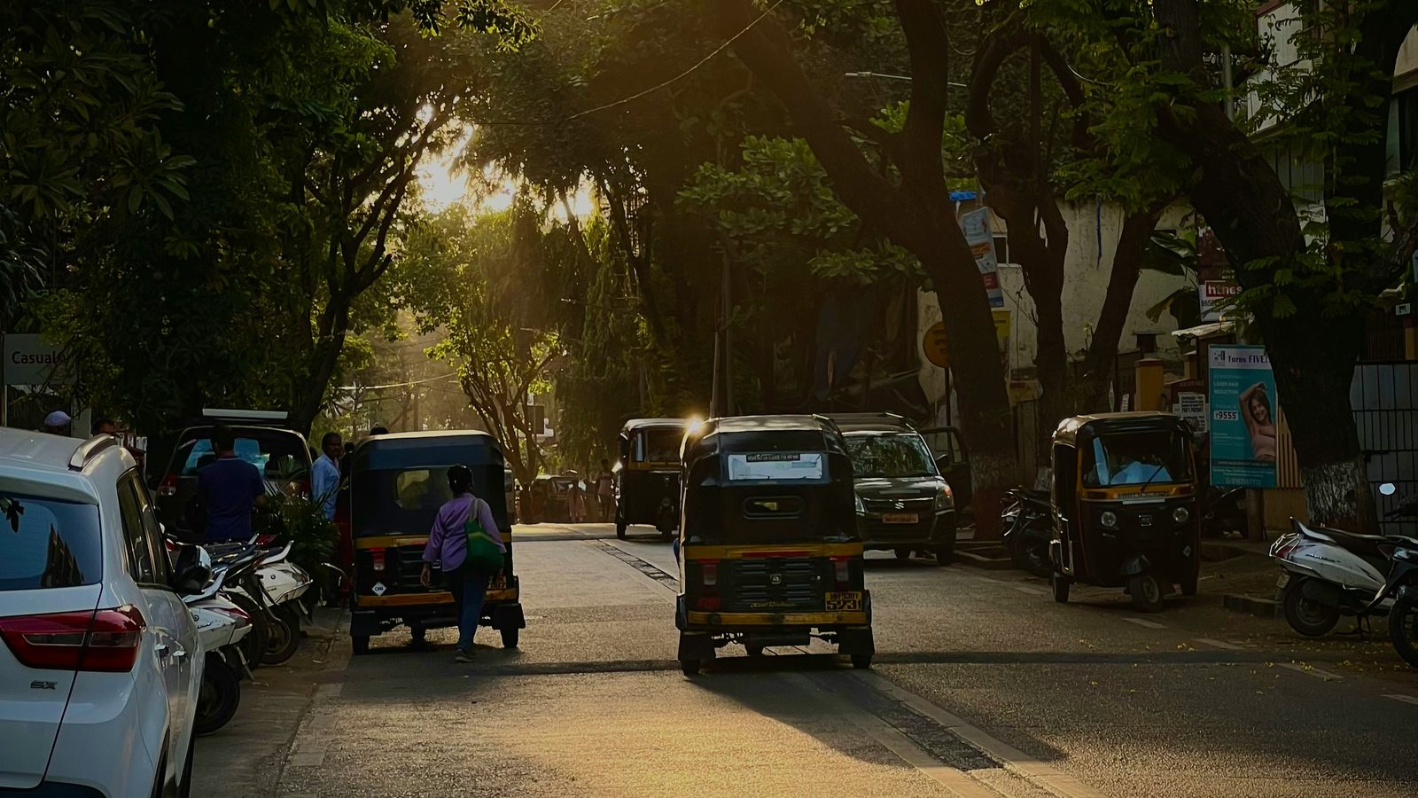 A tree-lined residential lane in central Mumbai